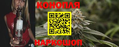 МДПВ Шелехов