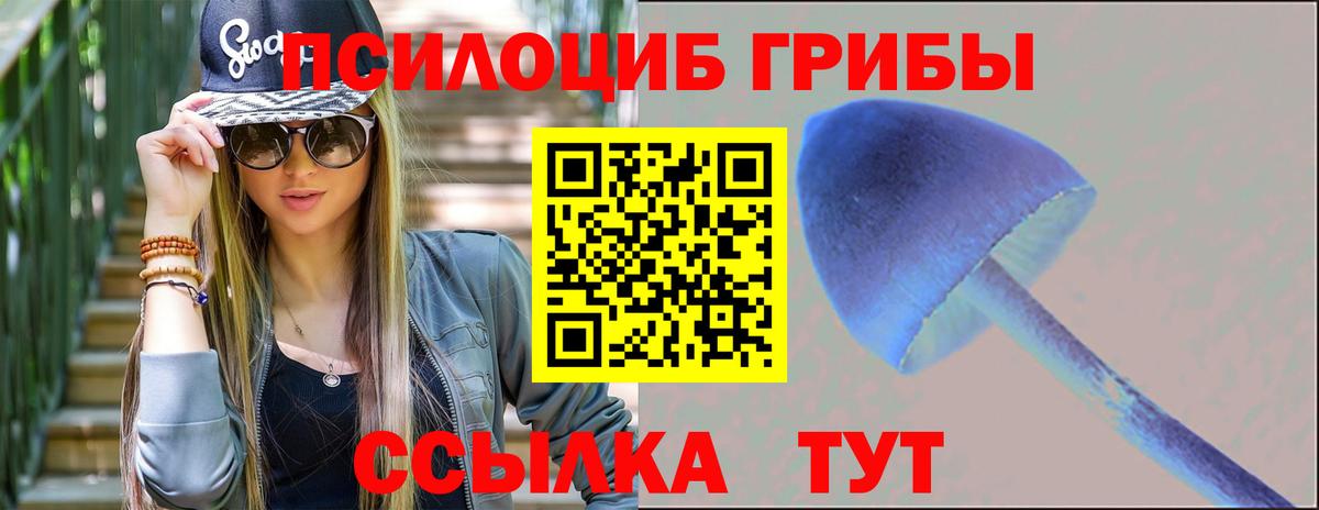 Галлюциногенные грибы Cubensis Жуковский